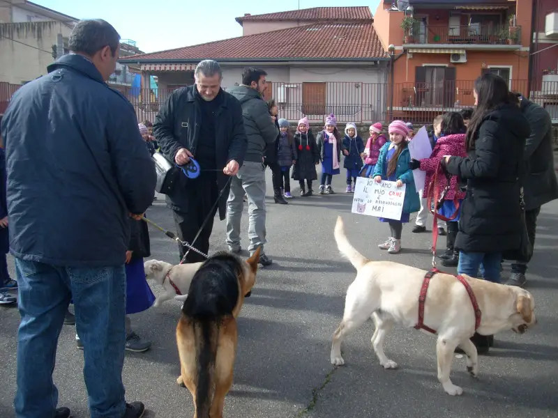 cani 3 circolo