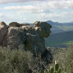 ECCO IL “GUARDIANO DEL SIMETO”