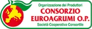 Consorzio Euroagrumi