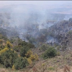QUATTRO INCENDI. BRUCIANO LE VIGNE