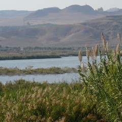 DIVENTA REALTA’ IL PATTO FIUME SIMETO