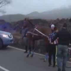 SP 92. LA POLIZIA BLOCCA CORSA CLANDESTINA DI CAVALLI