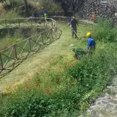 MURA DIONIGIANE. IN CAMPO VOLONTARI AMERICANI E ITALIANI