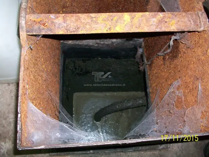 oleifici