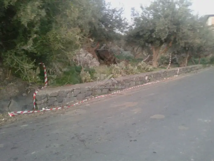 erbe bianche