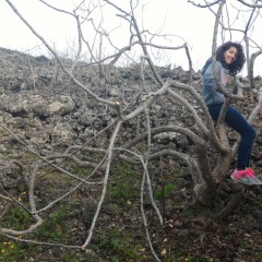 ALBERO ISPIRA POESIA E L’ADRANITA CHIARA RUSSO VINCE CONCORSO NAZIONALE