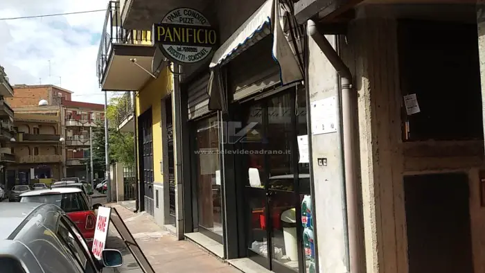 panificio verzi