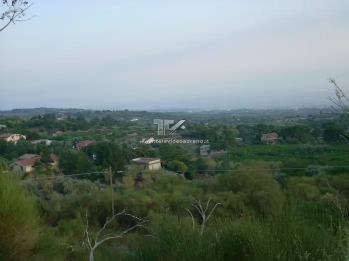 vigne adrano