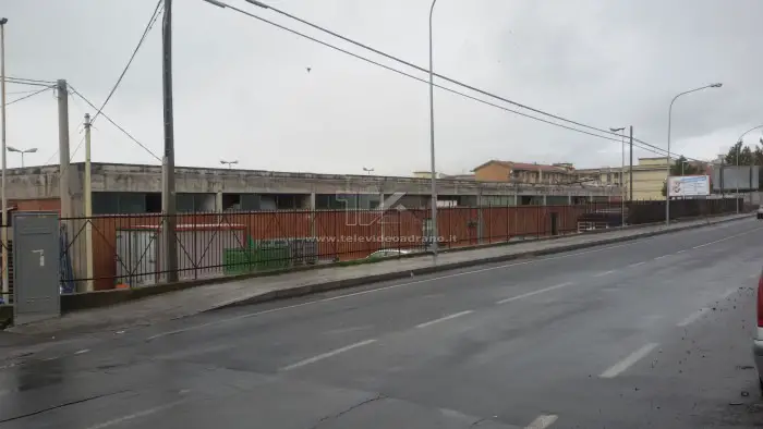mercato ortofrutticolo esterni