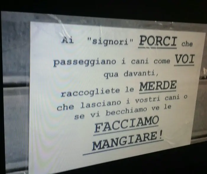 scritte cani