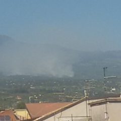 ANCORA INCENDI. IN FIAMME LA PINETA DI ADRANO