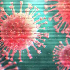 Coronavirus. In Sicilia 291 tamponi effettuati e sei sospetti casi positivi