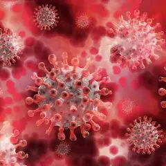 Emergenza Coronavirus. Bronte e Misilmeri dichiarati “zone rosse”