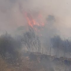 Adrano. Vasto incendio in varie contrade delle Vigne