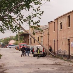 Forti raffiche di vento, diversi disagi nel Catanese