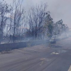 Emergenza incendi in Sicilia. Pellegriti: “Grazie a chi si sta sacrificando per lenire le piaghe di un territorio devastato”