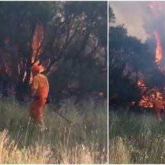 Adrano. Vasto incendio nelle contrade Cavalluccio Parlata