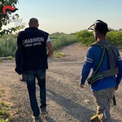 Controlli dei Carabinieri ad Adrano, Belpasso, Biancavilla e Paternò: ecco gli esiti
