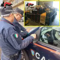 Catania. Operazione congiunta al mercato ortofrutticolo. Sequestrate 8 tonnellate di agrumi