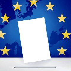Adrano. Elezioni Europee 2024. I voti di lista. Forza Italia primo partito