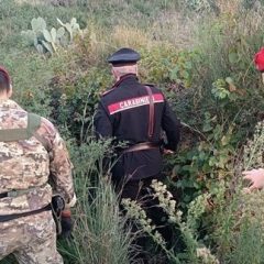 Randazzo. Cacciatori di frodo denunciati dai Carabinieri
