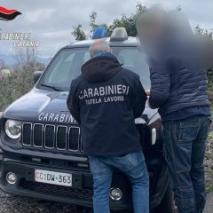 Passopisciaro e Linguaglossa. La lotta al lavoro nero. Sanzioni dei carabinieri a due aziende etnee per migliaia di euro