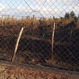 Biancavilla. Pomeriggio di fuoco alle Vigne. Fiamme nelle zone Boschetto e Vallone rosso