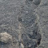 Etna. Comunicazione del Dipartimento di Protezione civile. “Alta probabilità di fontane di lava. Interdire anche la zona sommitale”