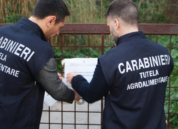 Truffa ai danni dell’Ue. La Procura Europea e i Carabinieri sequestrano beni per mezzo milione di euro. Indagati 4 imprenditori agricoli del Messinese e del Catanese