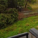 Adrano. Albero abbattuto dal vento in via Pasquale Simone Neri