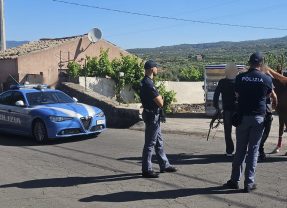 Adrano-Paternò. Contrasto alle corse clandestine di cavalli. Intervento interforze della Polizia di Stato e dei Carabinieri