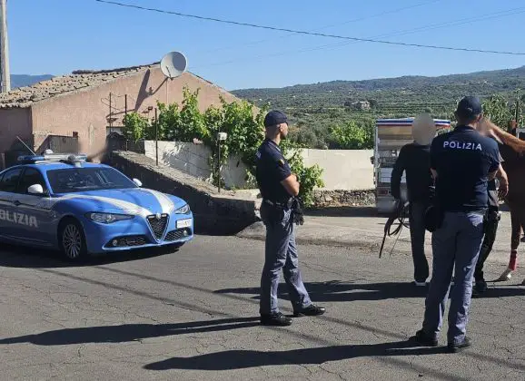 Adrano-Paternò. Contrasto alle corse clandestine di cavalli. Intervento interforze della Polizia di Stato e dei Carabinieri