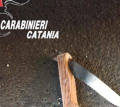 Aci Bonaccorsi. Un arresto per tentato omicidio dopo lite tra albanesi. Intervento di 2 carabinieri liberi dal servizio