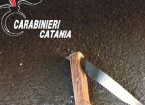 Aci Bonaccorsi. Un arresto per tentato omicidio dopo lite tra albanesi. Intervento di 2 carabinieri liberi dal servizio