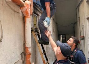 Catania, nasconde la droga sul tetto ma dimentica una dose in cortile: la polizia di stato arresta 41enne rumeno