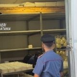 Maniace. Lavoro nero e irregolarità sanitarie. Blitz dei Carabinieri in un caseificio