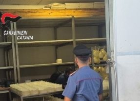 Maniace. Lavoro nero e irregolarità sanitarie. Blitz dei Carabinieri in un caseificio