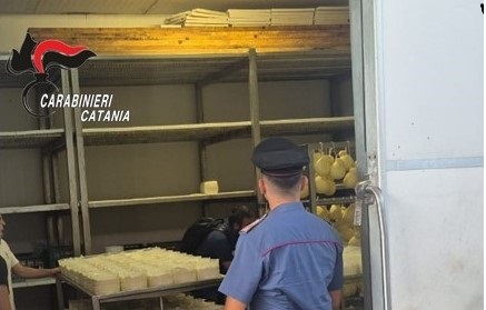 Maniace. Lavoro nero e irregolarità sanitarie. Blitz dei Carabinieri in un caseificio