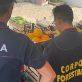 Adrano. Abusivismo commerciale. La Polizia di Stato sequestra 230 kg di prodotti ortofrutticoli non tracciati. Sanzioni per 2 ambulanti per 12.300 euro
