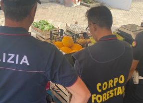 Adrano. Abusivismo commerciale. La Polizia di Stato sequestra 230 kg di prodotti ortofrutticoli non tracciati. Sanzioni per 2 ambulanti per 12.300 euro
